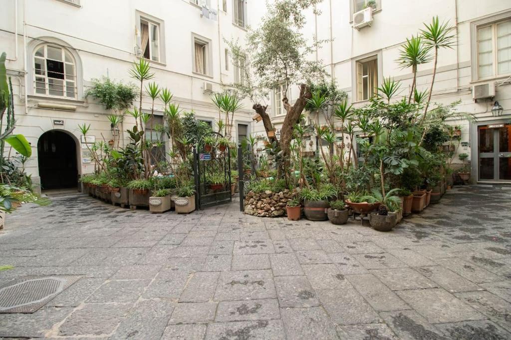 Apartment Nest Near Metrostop Naples